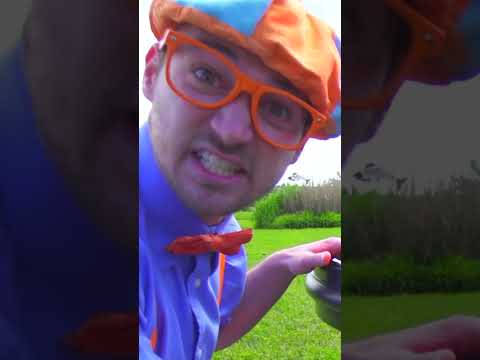 Police Car! Blippi Learns The Law