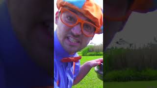 Police Car! Blippi Learns The Law