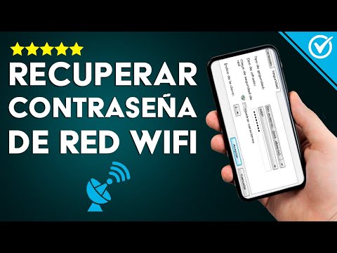 Cómo Recuperar la