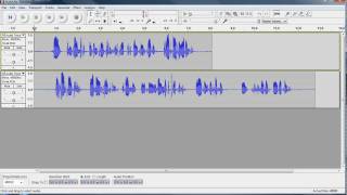 Famous Audacity 1.3 Beta - Recording - Part 3 Net Worth