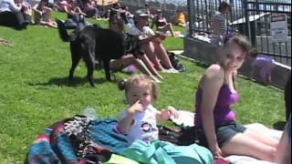 bark in park 2011.mov