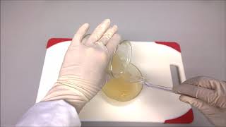 Unconfined Compression of Hydrogel Disks - Part 3 - Sample Preparation Hydrogel