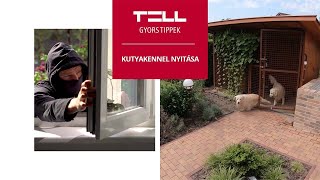 TELL Gyors tippek - kutyakennel nyitása Pager8-cal