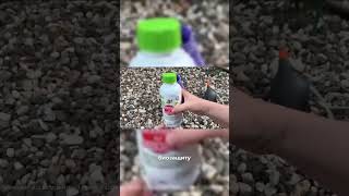 🍅 ПОЧЕМУ ТОМАТЫ НУЖНО ЗАЩИЩАТЬ УЖЕ СЕЙЧАС?