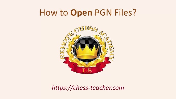 Fun2be: I will analyze your chess game in pgn form for $5 on