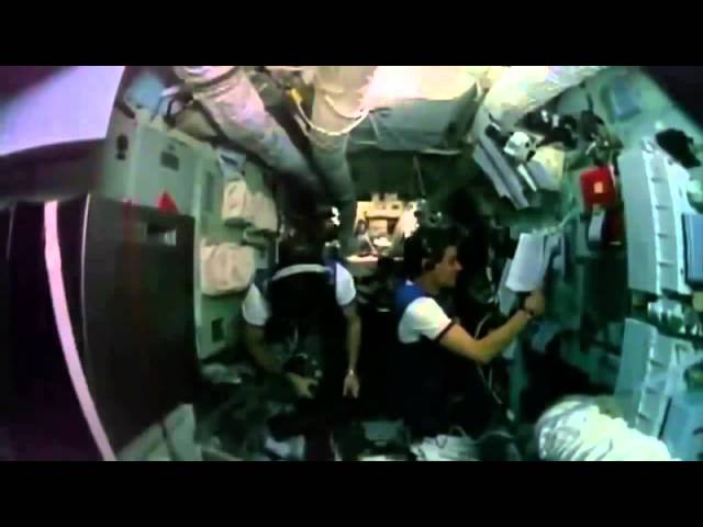 ответы на лабораторную практику с.а поперенко 8 класс биология