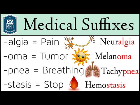 Medical Terminology: Suffixes MADE EASY [Nursing, Students, Coding]