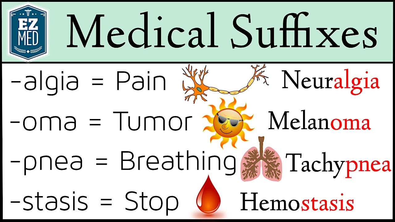 What Is A Suffix Medical Terminology?