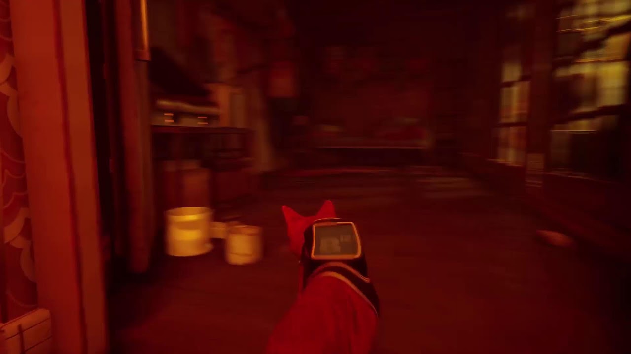 Lets Play Stray India - Gaming Animal Plays