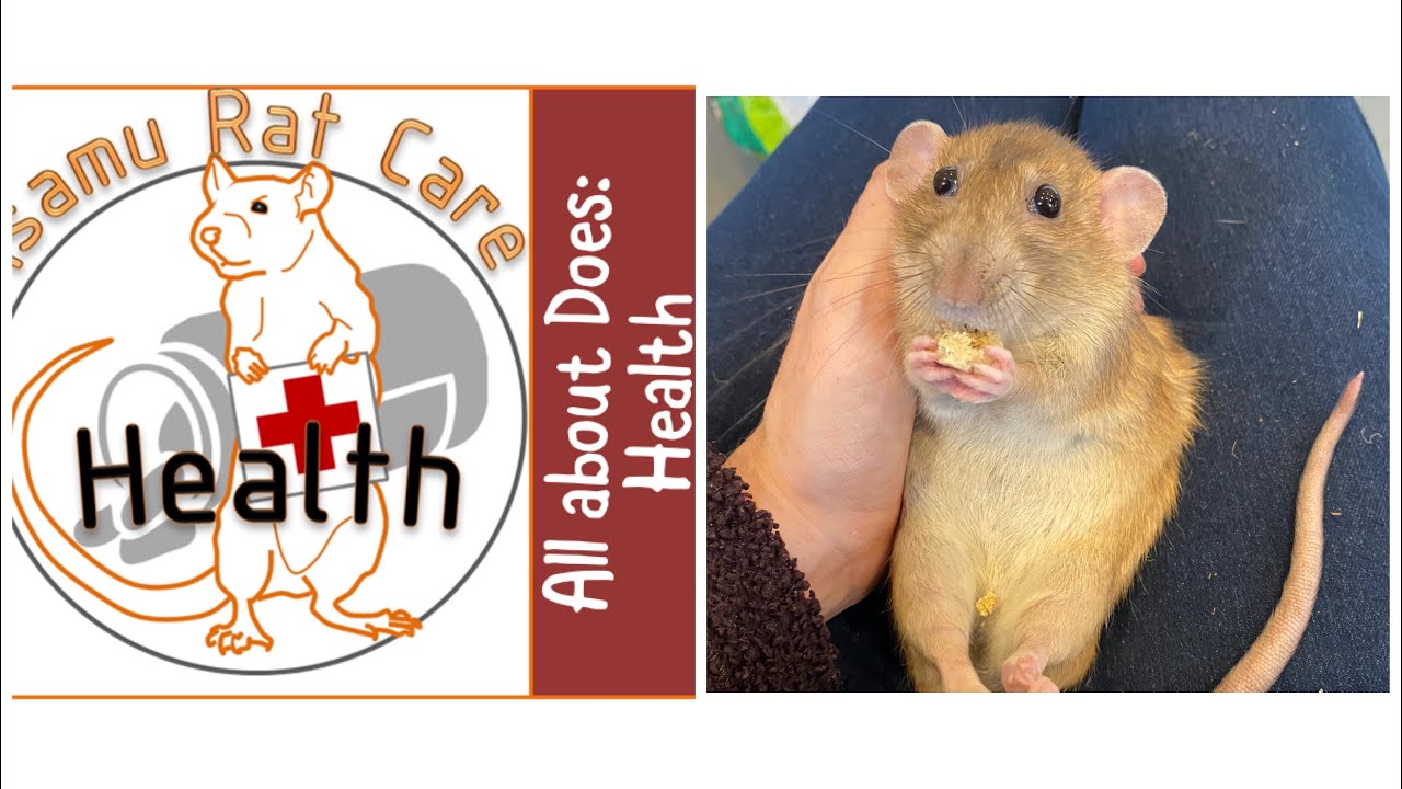 All about does: health