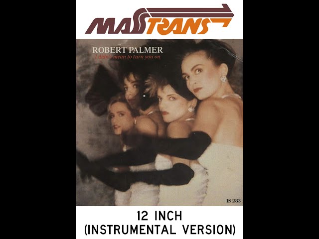 ロバート　パーマー I didn't mean to turn7 　ジャムルイ作 ROBERT PALMER - I DIDN'T MEAN TO TURN YOU ON [12 INCH