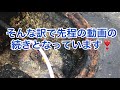 【閲覧注意】高圧洗浄機で洗管作業したら油脂の塊がゴロゴロ出てきた😫
