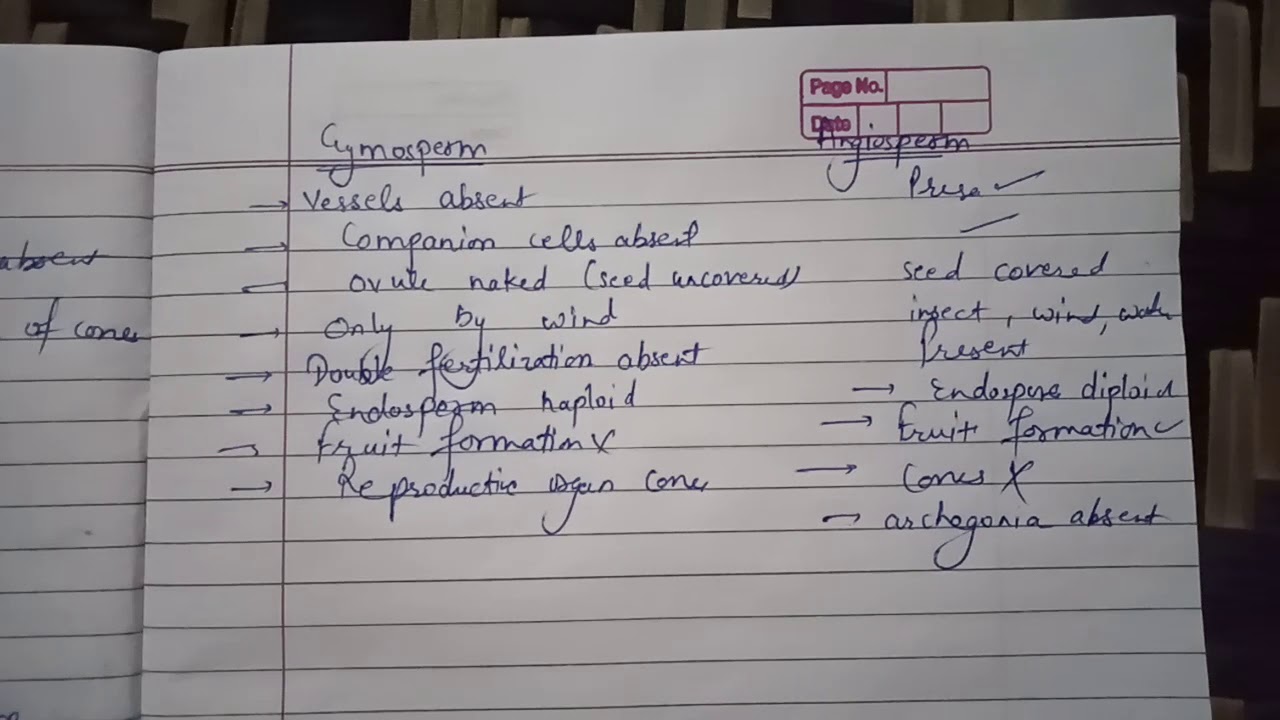 Angiosperms and gymnosperms difference - YouTube