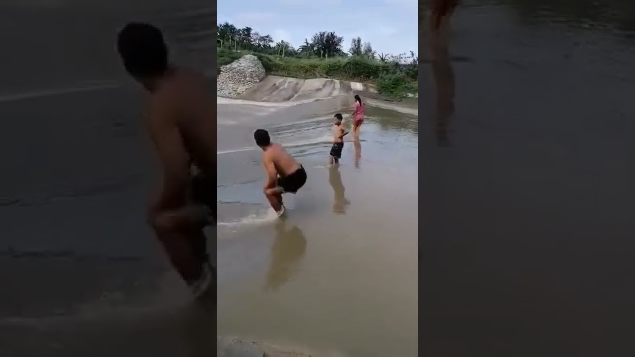 the beauty of suage river