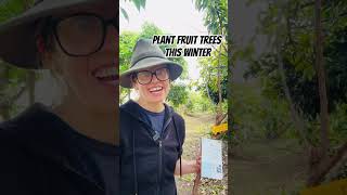 Why Plant A Bare Root Fruit Tree?