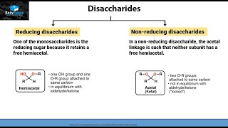 What Are Disaccharides?