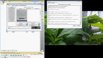 Cisco Packet Tracer - Connecting networks