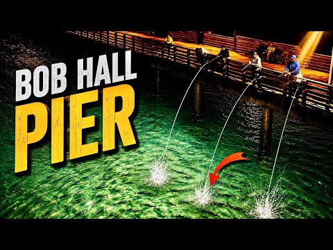 What Really Happens Under Bob Hall Pier at Night…