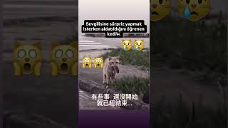 Opss😿🙀 Şfet