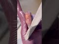 Mandel Feilen Tutorial- Anfänger freundlich #nail #nails #nägel #naildesign #nailtutorial