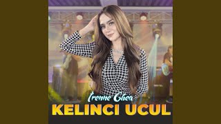 Download Lagu Kelinci Ucul Download Lagu Kelinci Ucul