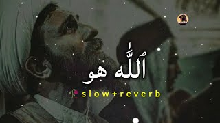 Slowed And Reverb Naat | Allah Hoo Dam Ba Dam