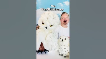 Puppet of the Day – Snow Owl (1984) made by Dakin – The Puppet Hideaway with Eric Thomsen
