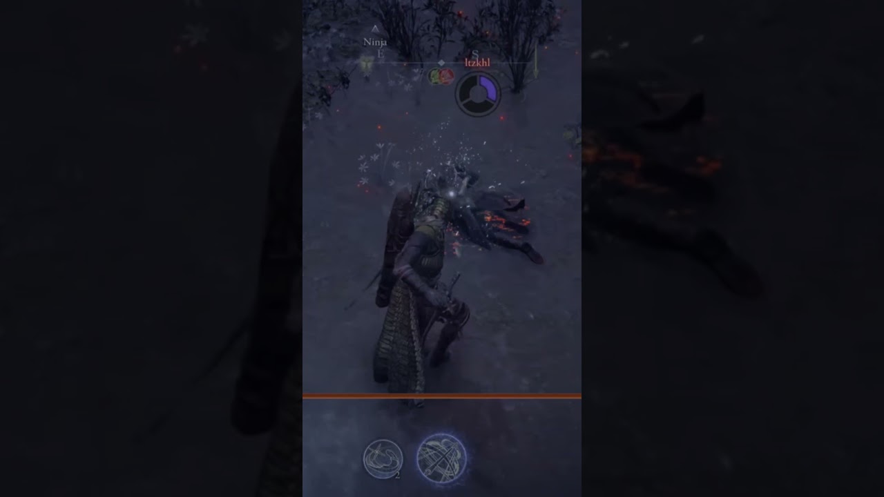 ELDEN RING NIGHTREIGN  - What kind of bug is this? 