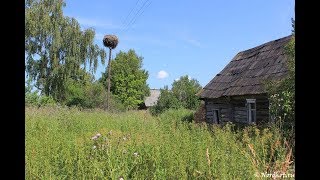 Куда пригласить девушку на первом свидании? Куда пригласить девушку на первом свидании?
