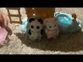 Morning and Night routine with the Calico siblings! (BLOOPERS at the end 💞!) 🐭🐼