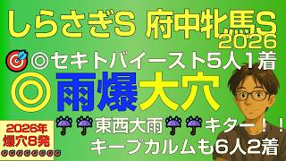 【🎯セキトバイースト5人気1着！】しらさぎS・府中牝馬S2026本命は雨爆穴！道悪＋バイアスで東西ともに攻める（キープカルムも6人気2着）