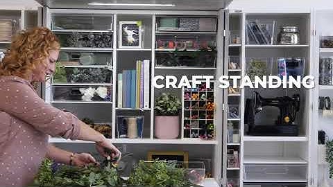 #1 Craft Storage Solution