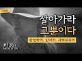 ☯ 1367일 수행 | 실시간 법문 +절운동 + 좌선&amp;확언명상 (필사Day9) ▶귓전명상대학 수업 ✔️CH Meditation /CHMU