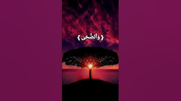 وَٱلضُّحَىٰ وَٱلَّیۡلِ إِذَا سَجَىٰ / سورة الضحى #القران_الكريم #ياسر_الدوسري