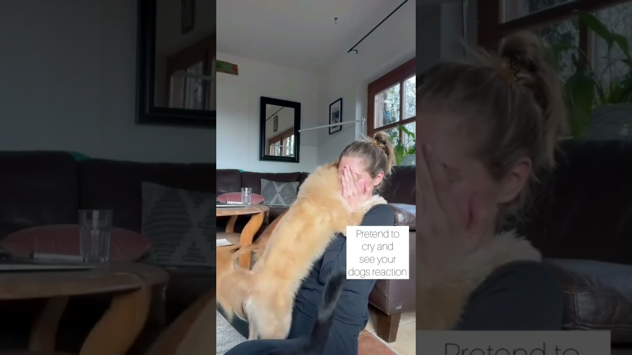 Cry infront of my Dog
