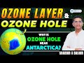 Ozone Layer &amp; Antarctic Hole Explained 🌍 | Full Breakdown