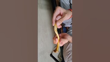 Clavicle External Features In 1 min