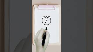 how to draw a tulips flowers
