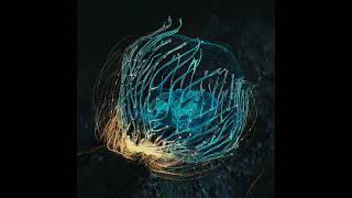 Daily #17 - Houdini / Redshift