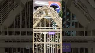 Famous Thrift With Me for Spring Decor 🌼 | Budget-Friendly Finds! #SpringDecor #ThriftWithMe Net Worth