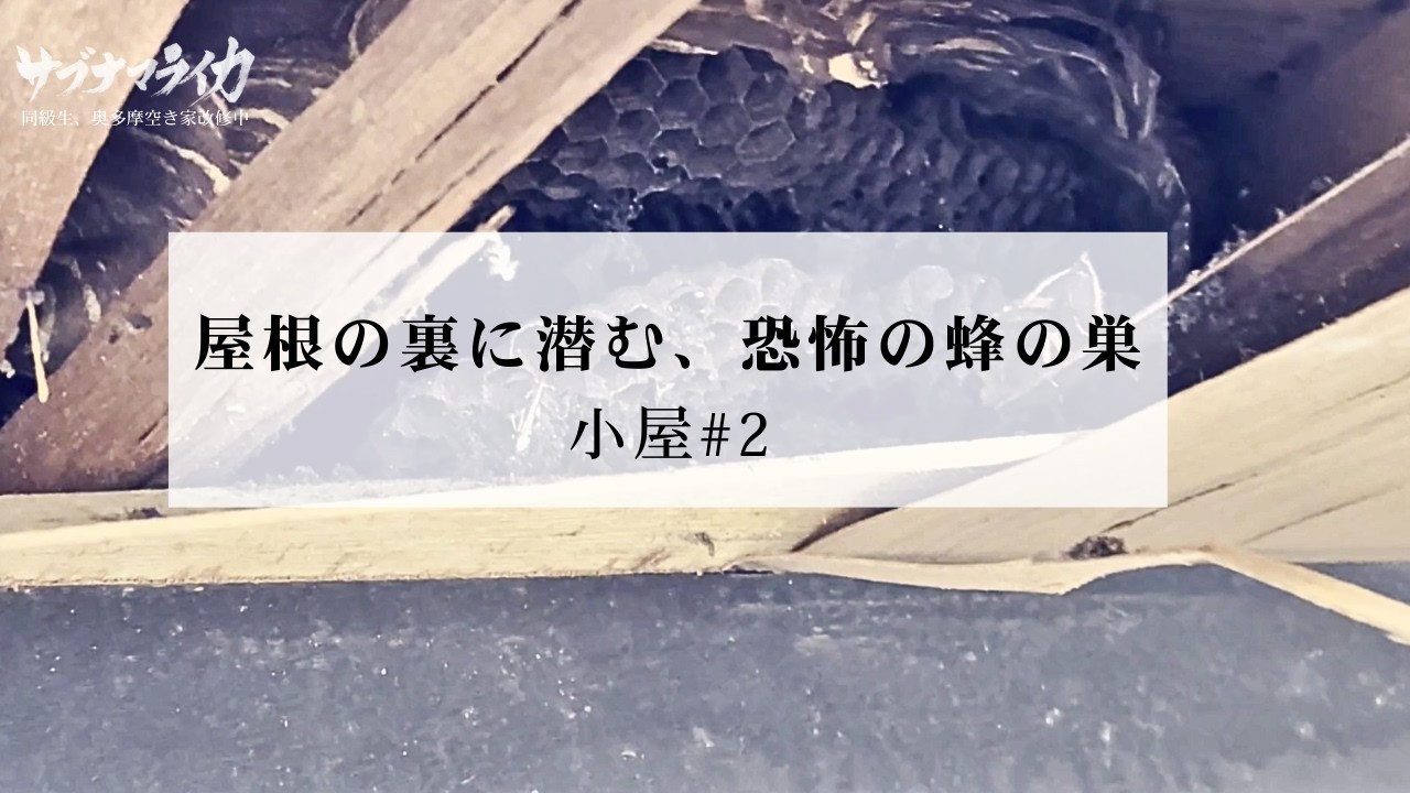 【奥多摩DIY】 屋根裏に潜む、巨大な蜂の巣 | 小屋 #2 | #空き家 #リフォーム #diy #軒天 #奥多摩
