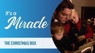 Episode 12, Season 2, It's a Miracle  The Christmas Box; Twister Survival; Brat the Cat