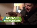 В Украине бум на экзотических животных - Абзац! - 15.11.2016