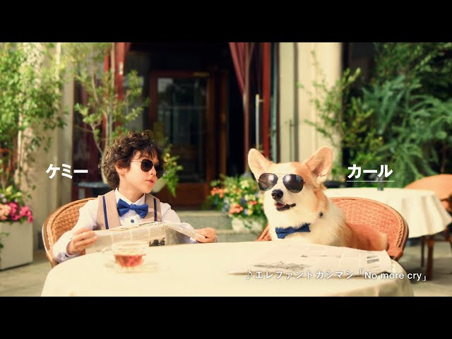 CM本編　ケミーとカール（ペロブスカイト篇）