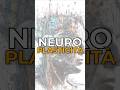 La neuroplasticità che modifica il cervello