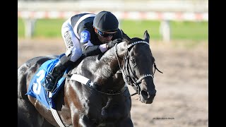 Handicap Easing Along 2026 - Aires de Gloria (Angiolo)