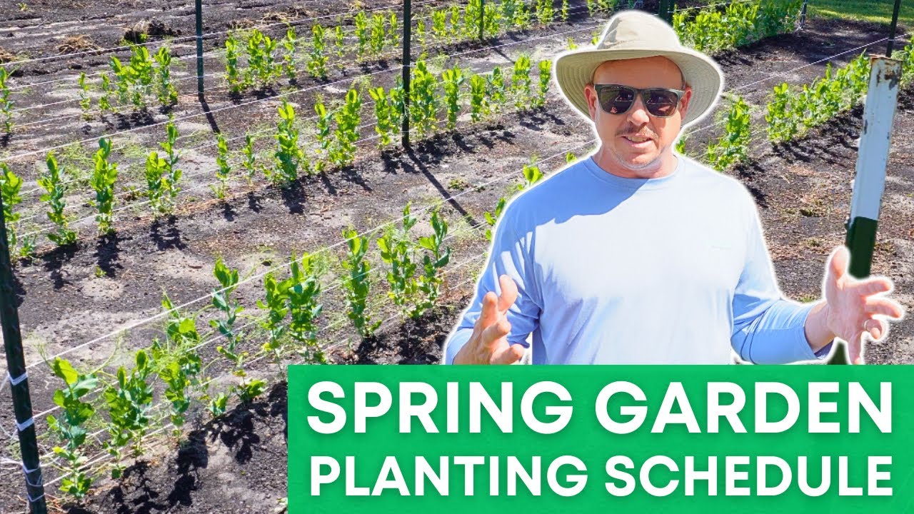 What to Plant First and Why!