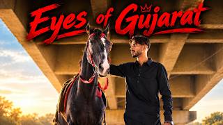 EYES OF GUJRAT | BALI BUTT | Official Music Video 2026 | New Punjabi Song