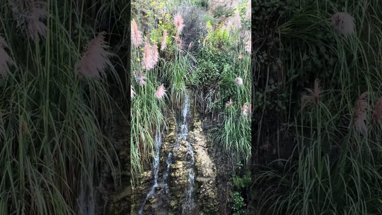 Anyone else having dreams like this recently?  🤍