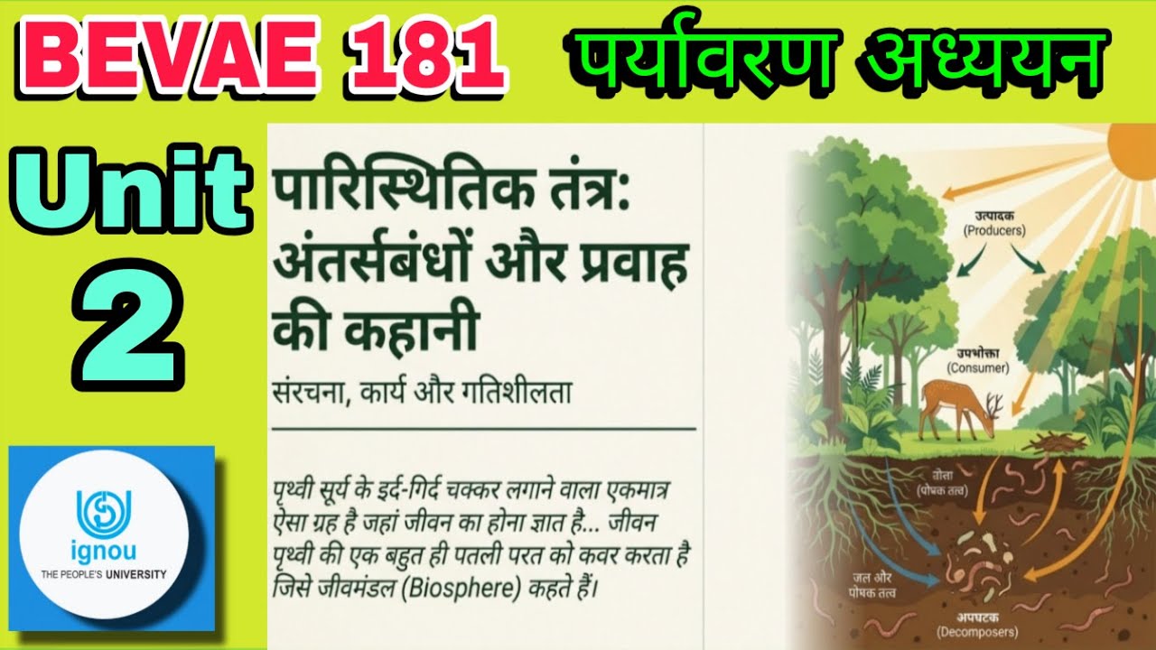 BEVAE 181 Unit 2: पारिस्थितिक तंत्र (Ecosystem) | IGNOU Full Chapter Explanation